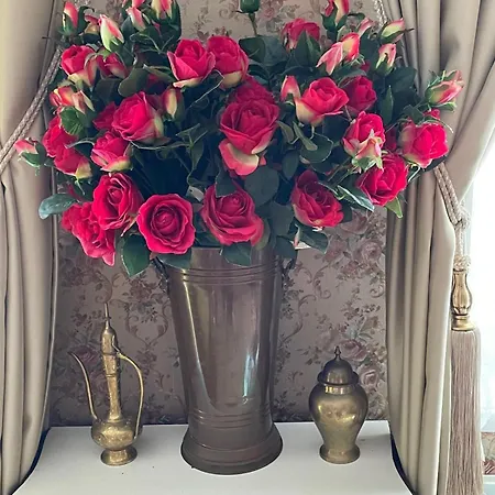 Luxurious Classical Dutch Styled In Centre Of - * デン・ハーグ